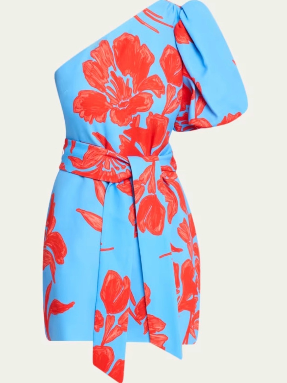 Cara Cara One-Shoulder Sky Blue Mini Dress with Red Floral Motif